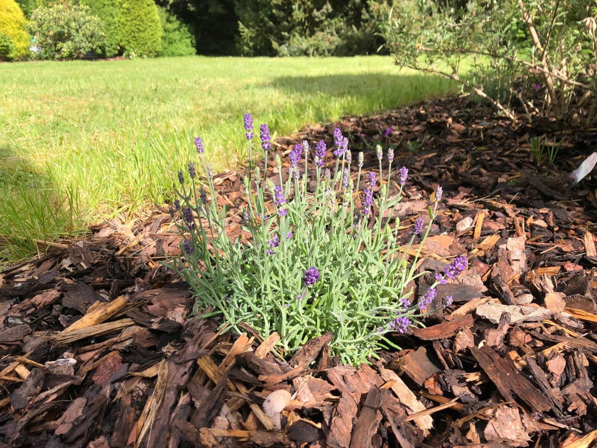 Idas Garten Bad Lauterberg Exteriér fotografie